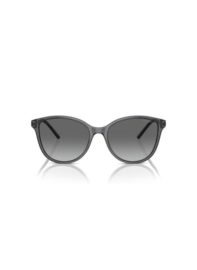 EMPORIO ARMANI 0Ea4220 Cateye Sunglasses  - Image 1