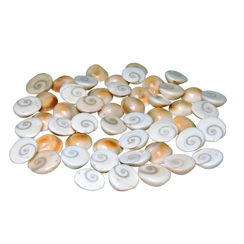 Anshraj Gomati | Gomti Chakra (Set of 21 Pcs) | Original Gomati Chakra from Gomathi River Dwarka for Lakshmi Diwali Puja, Bring Luck, Wealth, Money, and Protection - Image 1