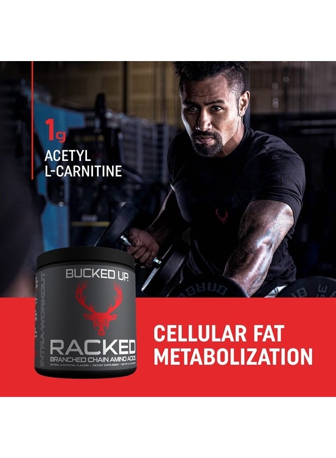 Bucked Up BCAA RACKED™ أحماض أمينية متفرعة السلسلة | L-Carnitine، Acetyl L-Carnitine، GBB | استعادة بعد التمرين، تخليق البروتين، BCAAs للعضلات النحيفة التي يمكنك الشعور بها! 30 حصة (Blood Raz) - Image 4