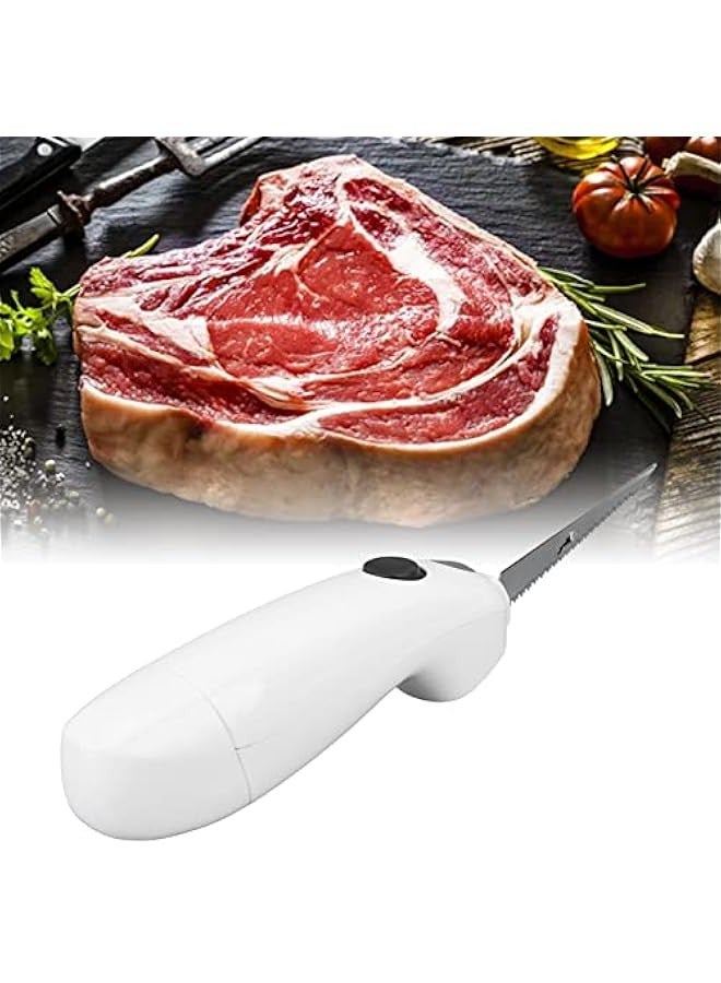 Reciprocating Blades, Charger and Case for Fishing Stainless Steel Cordless Electric Fillet Knife Portable Steal Carry Case for Fishing, Filleting, and Outdoors - Image 2