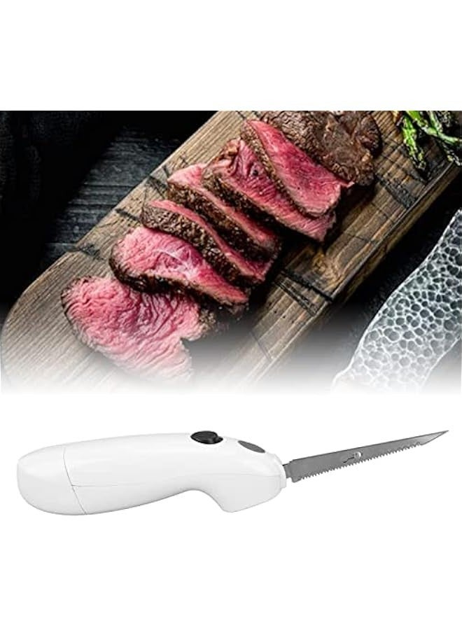 Reciprocating Blades, Charger and Case for Fishing Stainless Steel Cordless Electric Fillet Knife Portable Steal Carry Case for Fishing, Filleting, and Outdoors - Image 3