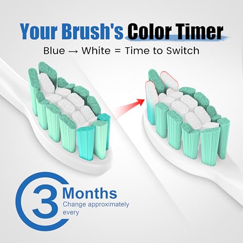 POSWEENR Replacement Toothbrush Heads Compatible with Philips Sonicare – Gentle & Effective Electric Tooth Brush Refill for Plaque Control, 10 Pack (Black) - Image 5