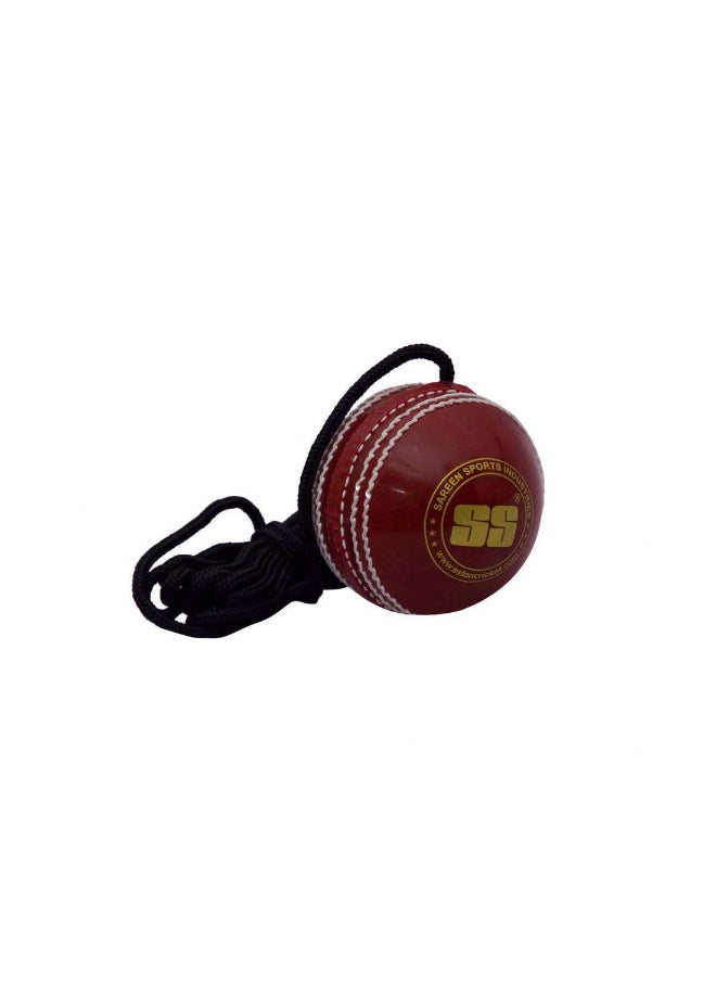 SS - Cordy Seamer Hanging Ball - Image 1