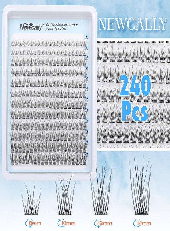 Newcally Natural Lash Clusters DIY Lash Extension Wispy Eyelash Clusters C-curly Cluster Eyelash Extension 10-14MM Individual Lashes Eyelash Extension Faux Mink Lash Clusters by Newcally - Image 2