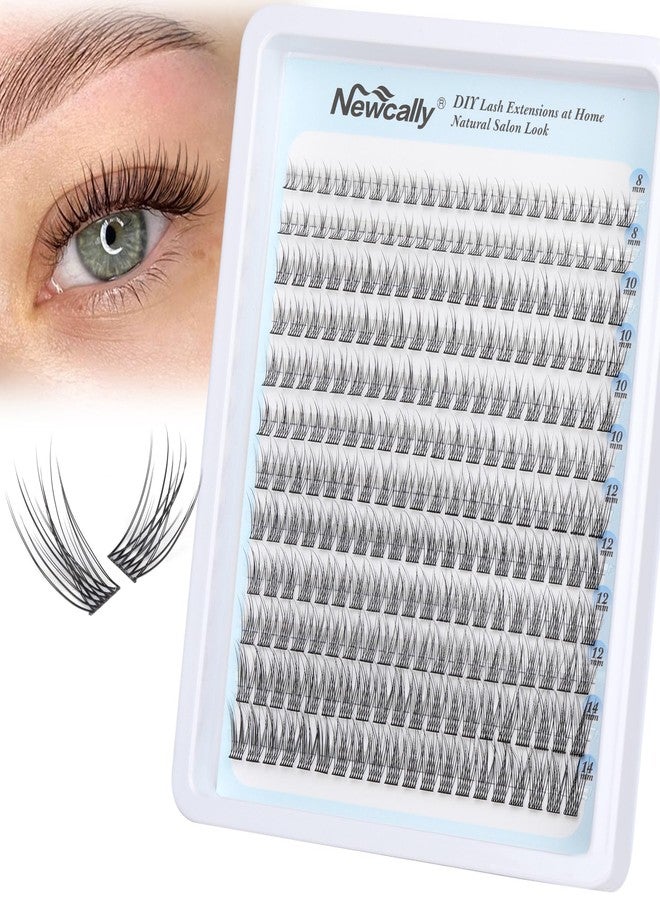 Newcally Natural Lash Clusters DIY Lash Extension Wispy Eyelash Clusters C-curly Cluster Eyelash Extension 10-14MM Individual Lashes Eyelash Extension Faux Mink Lash Clusters by Newcally - Image 1
