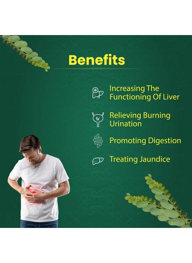 Heilen Biopharm Heilen Biopharm Bhoomi Amla Powder For Health Improvement - 200 g Pack of 1  - Image 5