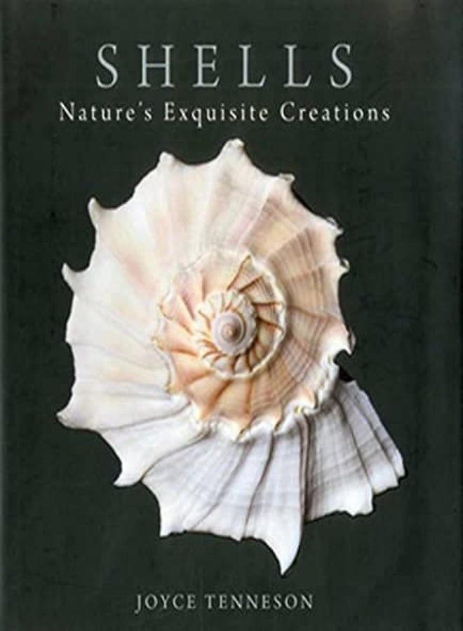 Shells: Nature's Exquisite Creations 