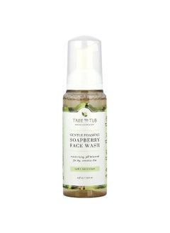 Tree to Tub Tree To Tub, Soapberry Gentle Foaming Face Wash, For Dry, Sensitive Skin, Raw Unscented, 4 fl oz (120 ml)  - Image 1