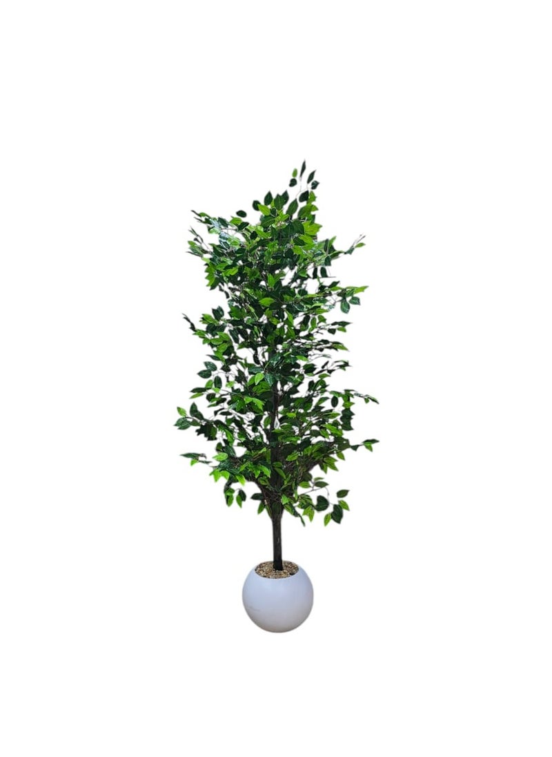 AL KHALDIYA Lemon tree with white pot, 140 cm  - Image 2