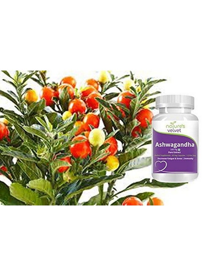 nature's velvet Natures Velvet Ashwagandha Tablets with Immunity Support and Stress Relief 60 Capsules(Pack of 1)  - Image 3