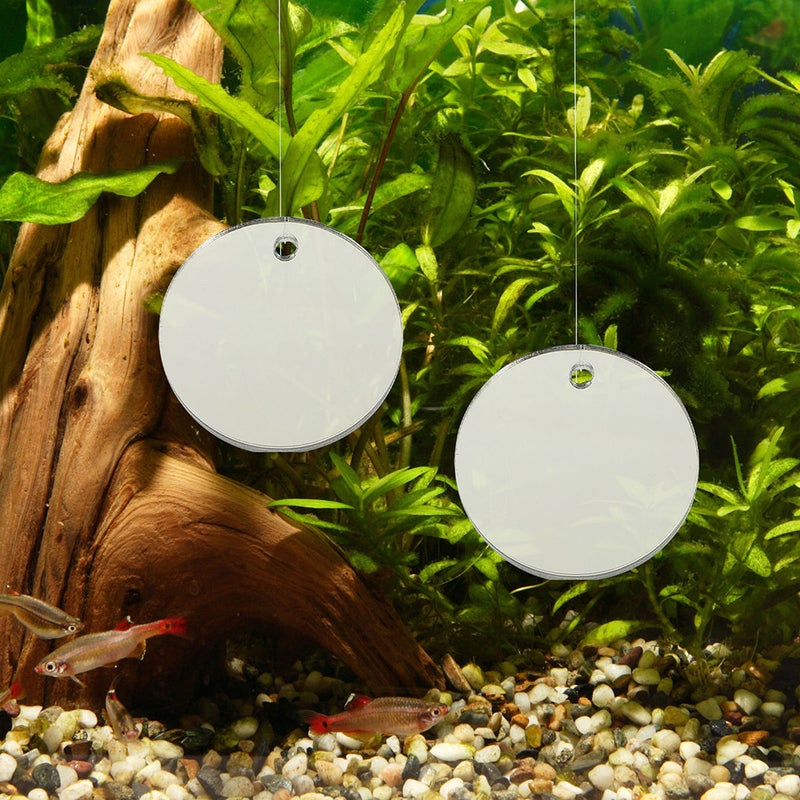 2 Sets Betta Mirror Betta Mirror Betta Fish Mirror Aquarium Decorations - Image 3