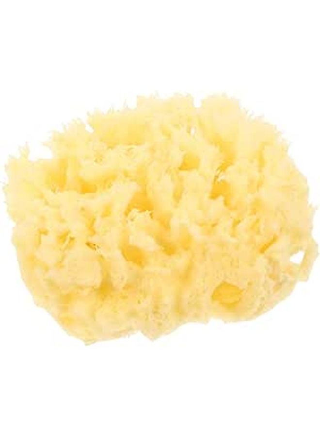 إسفنجة الاستحمام الطبيعية من قرص العسل 7-8 سم، مقشر ناعم للوجه والجسم للبالغين والأطفال الرضع - Image 1