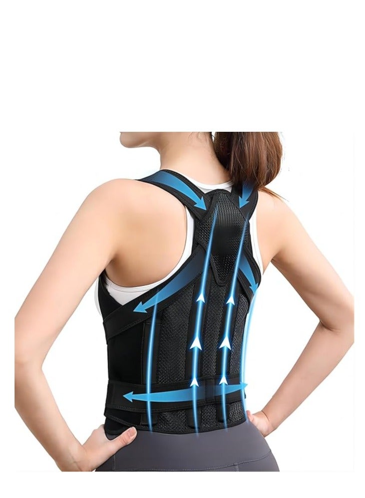 كول بيبي حزام الظهر لشد الخصر للنساء والرجال، حزام خصر قابل للتعديل يساعد على ممارسة التمارين الهوائية للبطن، مقاس M - Image 1