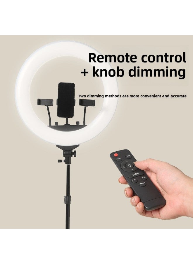 Loquat 18 21 Ring RL-21 Live Light Tripod Photography Light LED Beauty Chattering Mobile Phone Self-timer Light-Specifications:18inch RL-18 With Light Bag - Image 3