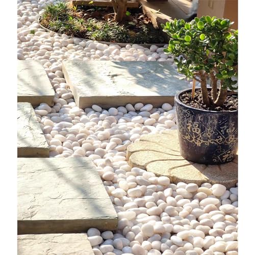 FANTIAN 20 lbs White River Rocks, 1-2 Inch Polished Pebbles for Indoor Plants, Decorative White Stones for Plants, Vase, Aquarium, Fish Tank, Landscaping and Garden - Image 4