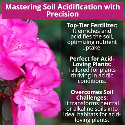 GARDENWISE 8-4-8 Acidic Fertilizer for Azaleas, Camellias (Camelia), Hydrangeas, Blueberries, Gardenias, Magnolia Trees, Evergreens, and Rhododendrons - Ideal Iron-Rich Plant Food (1/2 Quart) - Image 3
