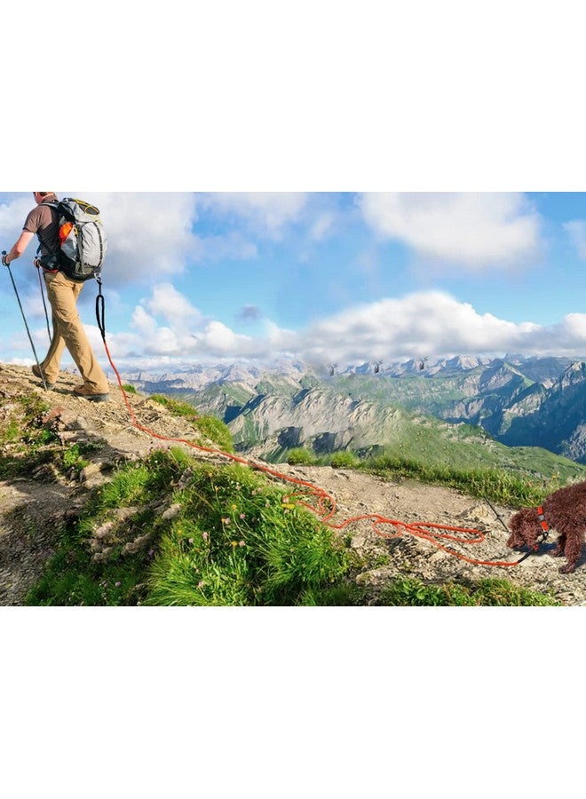 Joytale Joytale Long Dog Training Leash, 50FT Tie Out Rope Check Cord with Padded Handle, Reflective Recall Lead for Puppy and Small Dogs, Orange  - Image 2