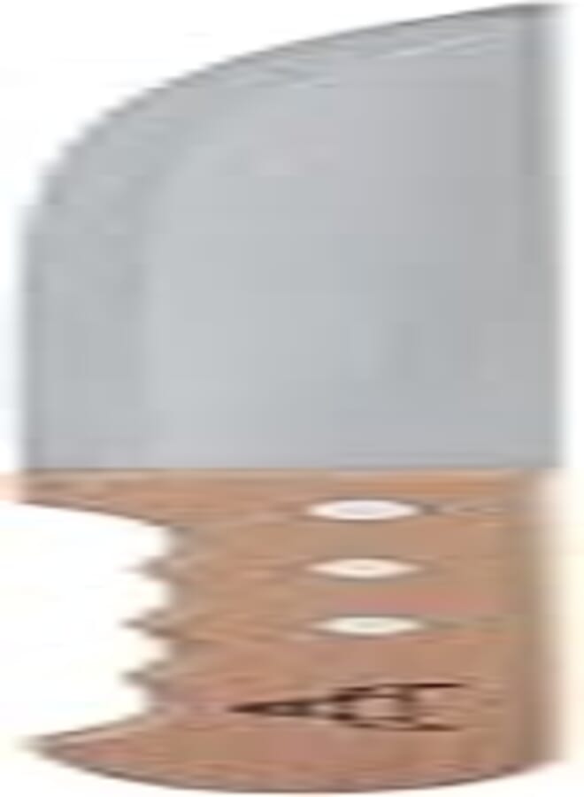 Agfa Stainless Steel Knife with Wooden Hand, 29.5×3.5 cm, 7 Inch - Beige