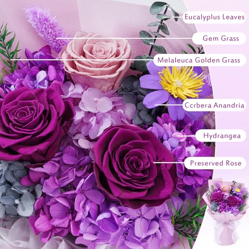 Waipfaru Preserved Flowers, Purple Fresh Bouquet with Gift Box, Flowers for Delivery, That Last 1-3 Years, Forever Flowers for Women Birthday Gift, Anniversary, Teacher, Mother Day - Image 3
