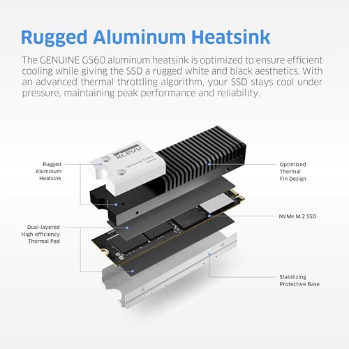 KLEVV Genuine G560 1TB M.2 2280 NVMe PCIe Gen5x4 Internal SSD Heatsink Included, up to 13000MB/s with DRAM Cash (K01TBM2SP0-G56) - Image 3