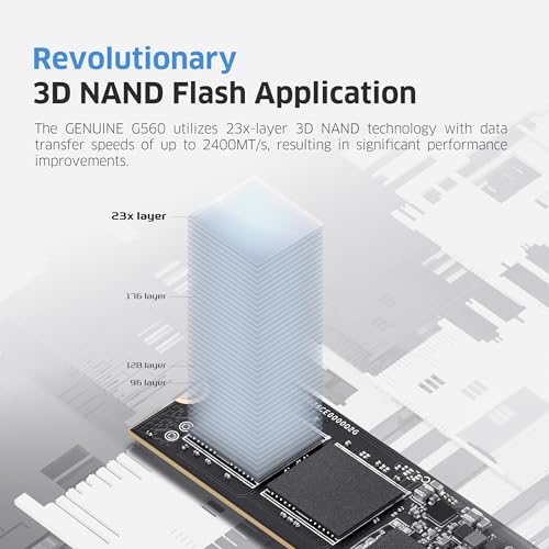 KLEVV Genuine G560 1TB M.2 2280 NVMe PCIe Gen5x4 Internal SSD Heatsink Included, up to 13000MB/s with DRAM Cash (K01TBM2SP0-G56) - Image 5