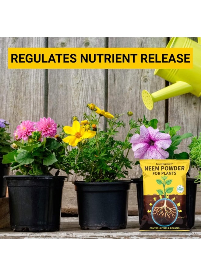 TrustBasket TrustBasket Neem Cake Powder Organic Fertilizer and Pest Repellent for Plants (450 GMS)  - Image 4