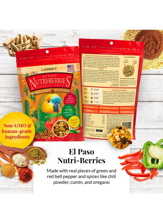 لافيبيرز مجموعة متنوعة من أغذية الطيور الأليفة من LAFEBER'S Gourmet Nutri-Berries، مصنوعة من مكونات غير معدلة وراثيًا ومناسبة للبشر، للببغاوات، 10 أونصات لكل منها (مجموعة مكونة من 4 قطع) - Image 5