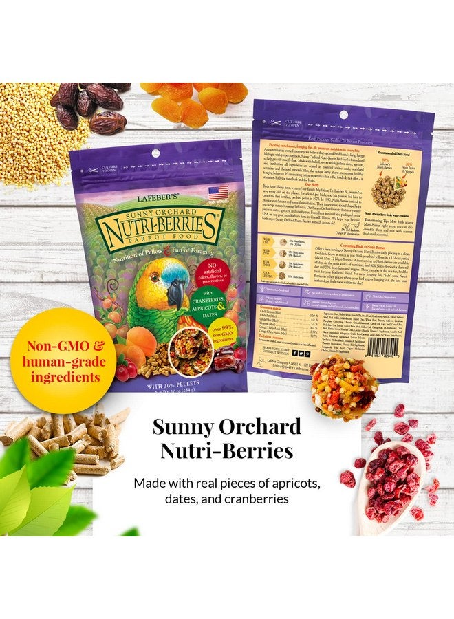 لافيبيرز مجموعة متنوعة من أغذية الطيور الأليفة من LAFEBER'S Gourmet Nutri-Berries، مصنوعة من مكونات غير معدلة وراثيًا ومناسبة للبشر، للببغاوات، 10 أونصات لكل منها (مجموعة مكونة من 4 قطع) - Image 3