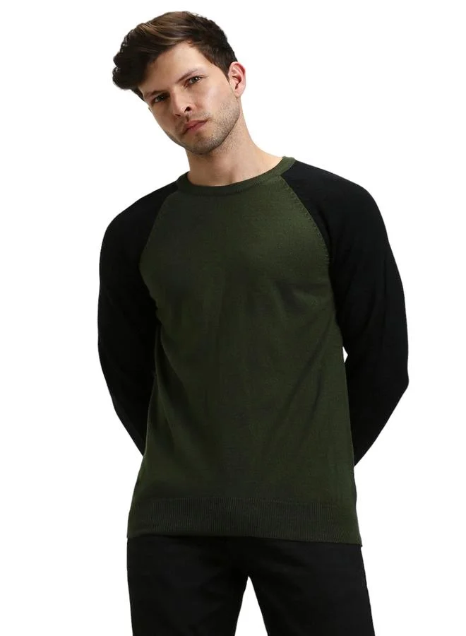 Dennis Lingo Olive Regular Fit Sweater for Men - 100% Acrylic, Solid, Crew Neck, Full Sleeves, Casual,