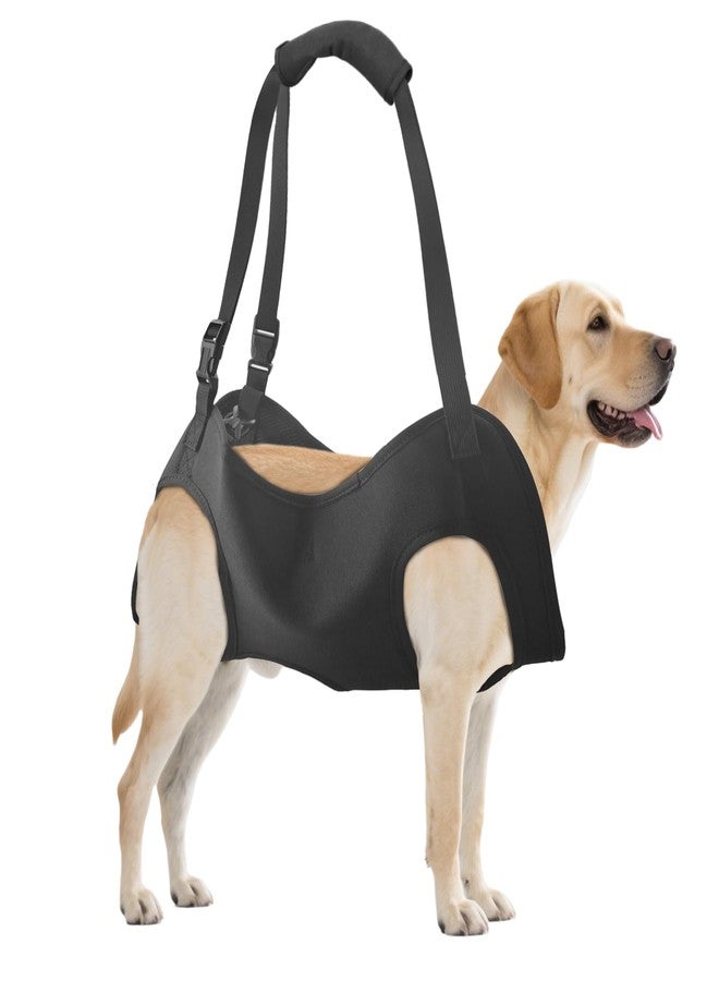 Roobuck Dog Lifting Harness, Adjustable Full Body Support Sling for Large Dogs, Front and Rear Leg Mobility Aid for Elderly, Injured, Disabled, or Recovering Pets Walking Assistance (L) - Image 1