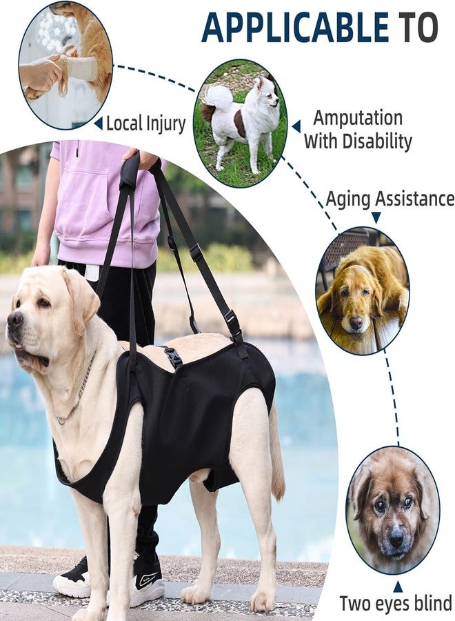 Roobuck Dog Lifting Harness, Adjustable Full Body Support Sling for Large Dogs, Front and Rear Leg Mobility Aid for Elderly, Injured, Disabled, or Recovering Pets Walking Assistance (L) - Image 2