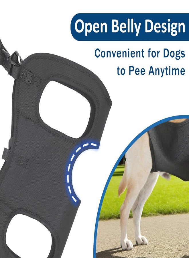 Roobuck Dog Lifting Harness, Adjustable Full Body Support Sling for Large Dogs, Front and Rear Leg Mobility Aid for Elderly, Injured, Disabled, or Recovering Pets Walking Assistance (L) - Image 4
