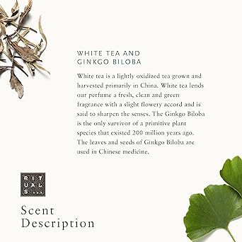 RITUALS RITUALS Gift Set from The Ritual of Karma Trial Set with Summery Holy Lotus White Tea Hydrating Cooling Properties - Image 5