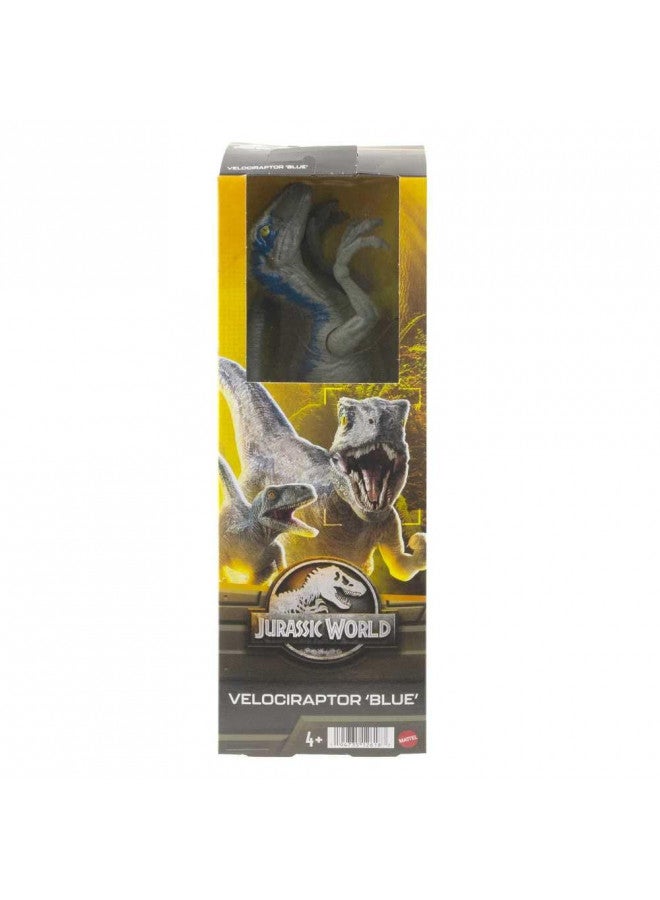JURASSIC WORLD MATTEL Velocirapator Blue Jurassic World 12" Dinosaur - Image 4