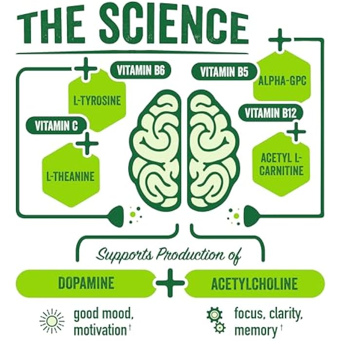 BrainJuice Nootropics Brain Support Supplement, Gluten Free Powder for Energy and Focus, Drink Mix with L Theanine, Alpha GPC, Vitamin B, Organic Green Tea Extract Caffeine, Classic, 15 Servings - Image 4