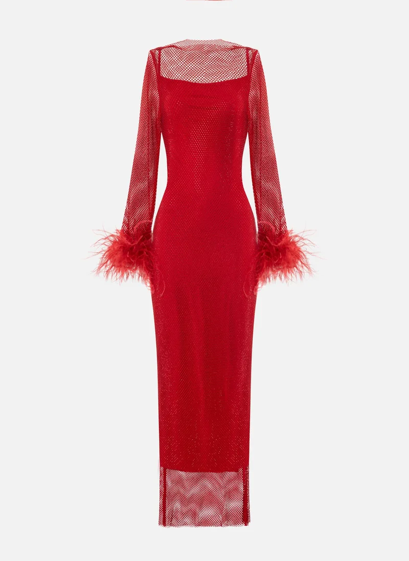 Lichi Mesh maxi dress with feathers on the sleeves