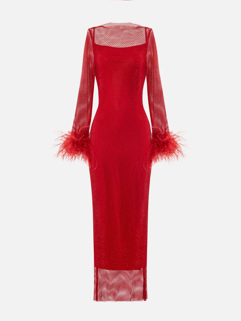 Lichi Mesh maxi dress with feathers on the sleeves