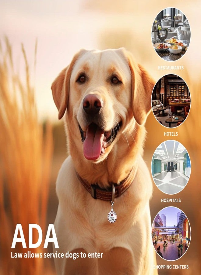 PEHADU Emotional Support Dog Tag Emotional Support Dog Tag Metal Pet ID Tags ESA Tag Red Medical Alert Symbol Double Sided, Navy Lettering l Easily Switch Between Collars Harness and Vest. - Image 4