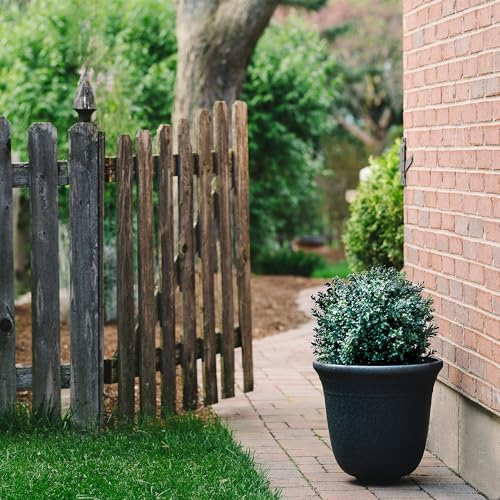 TRESIL BOTARO TRESIL Set of 2 - Pre-Potted 24" High Ball Shaped Boxwood Topiary- 16" Diameter - Plastic Pot - Image 3