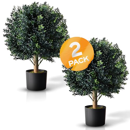 TRESIL BOTARO TRESIL Set of 2 - Pre-Potted 24" High Ball Shaped Boxwood Topiary- 16" Diameter - Plastic Pot - Image 5
