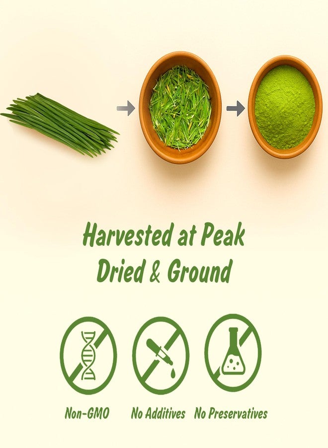 Spice Profile USDA Organic Wheatgrass Powder, Lab Tested for Heavy Metals, Resealable 4oz Pouch, Gehun Ka Ghas, Hierba de Trigo - Image 2