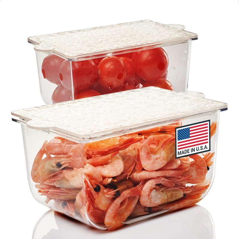 Pikanty Condiment Storage Containers  Set of 2 Small Organizers with Lids for Refrigerator  Dishwasher Safe  Made in USA