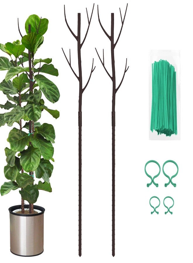 Vocray Plant Support Stakes for Indoor Plants,Trellis for House Potted Plants Flower,Monstera Support Sticks with Orchid Clips,Twist Ties(2 Pack Brown) - Image 1