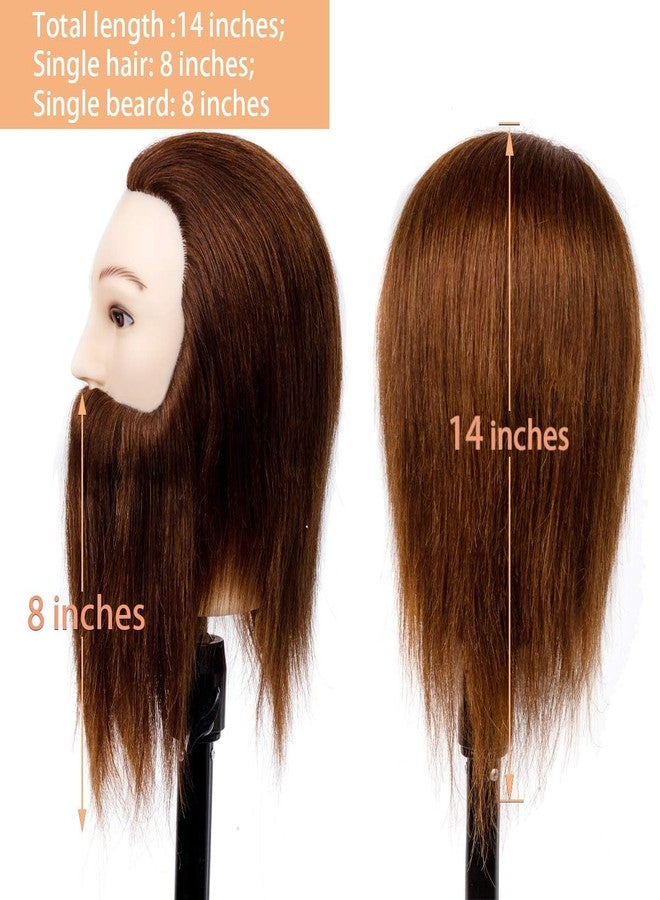 Stancia Male Mannequin Head,Training Head with 100% Human Hair,14” Barber Mannequin Head, Hairdresser Manikin Head, Training Doll Head for Hair Styling and Practice(with Beard,Dark Brown) - Image 3
