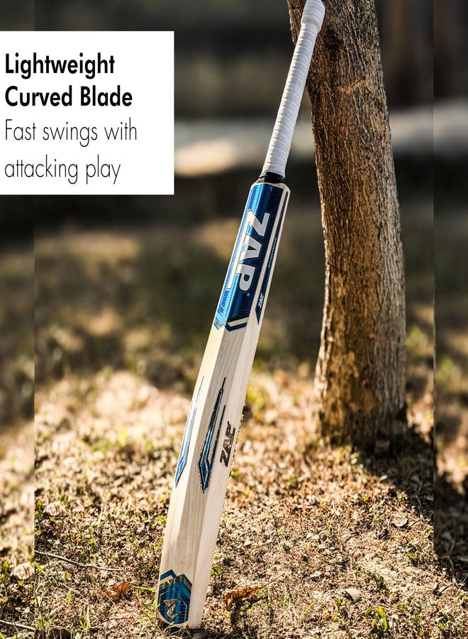 زاب مضرب كريكيت ZAP Middler (مقاس -SH) | مضرب Fanatic نصف عرض من جلد الصفصاف الكشميري | مضرب Middler للتدريب (SH) - Image 5