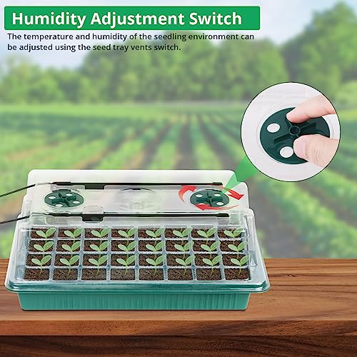 Sondiko Seed Starter Tray with Grow Light, 80 Cells Seed Starter Kit with Humidity Dome, Adjustable Brightness Plant Starter Trays, Indoor Plants Germination Kit(2 Pack) - Image 5