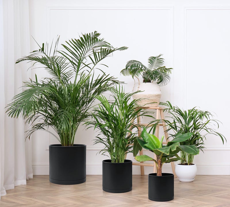 D'vine Dev 8 Inch 10 Inch 12 Inch, Set of 3 Plastic Planter Pots for Plants with Drainage Hole and Seamless Saucers, Black Color, X-Large, 74-V-B-5 - Image 3