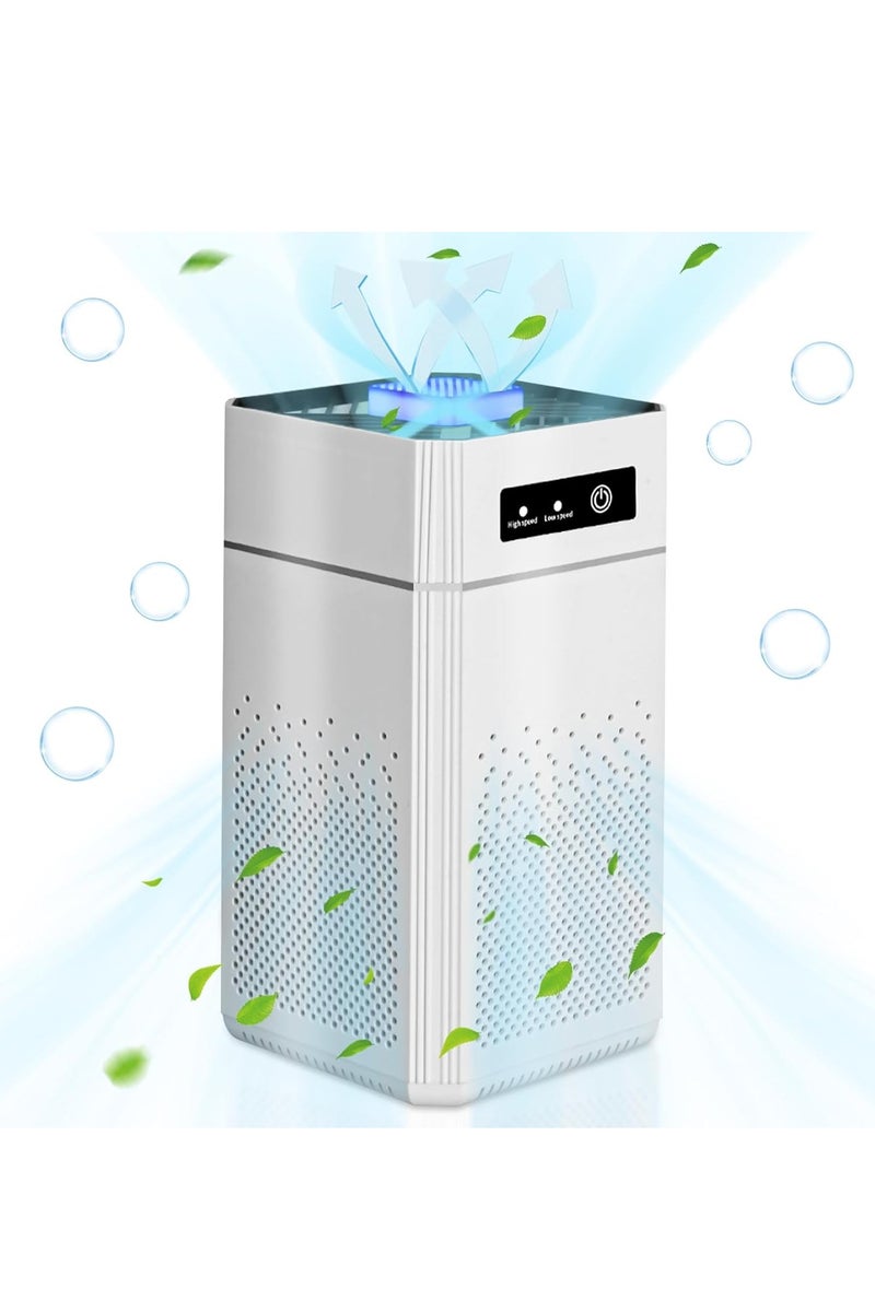 Hicomony Air Purifier, Remove Pet, Pollen, Dandruff Hair Odor, Suitable For Office Living Room Kitchen Air Purifier - Image 1