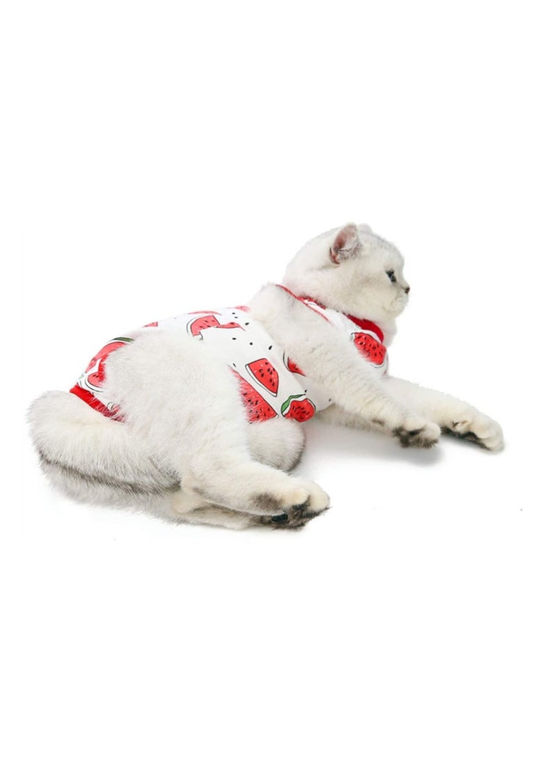 Generic Cat Recovery Suit for Abdominal Wounds or Skin Diseases After Surgery Wear Anti Licking Breathable E Collar Alternative Cats and Dogs M  - Image 1