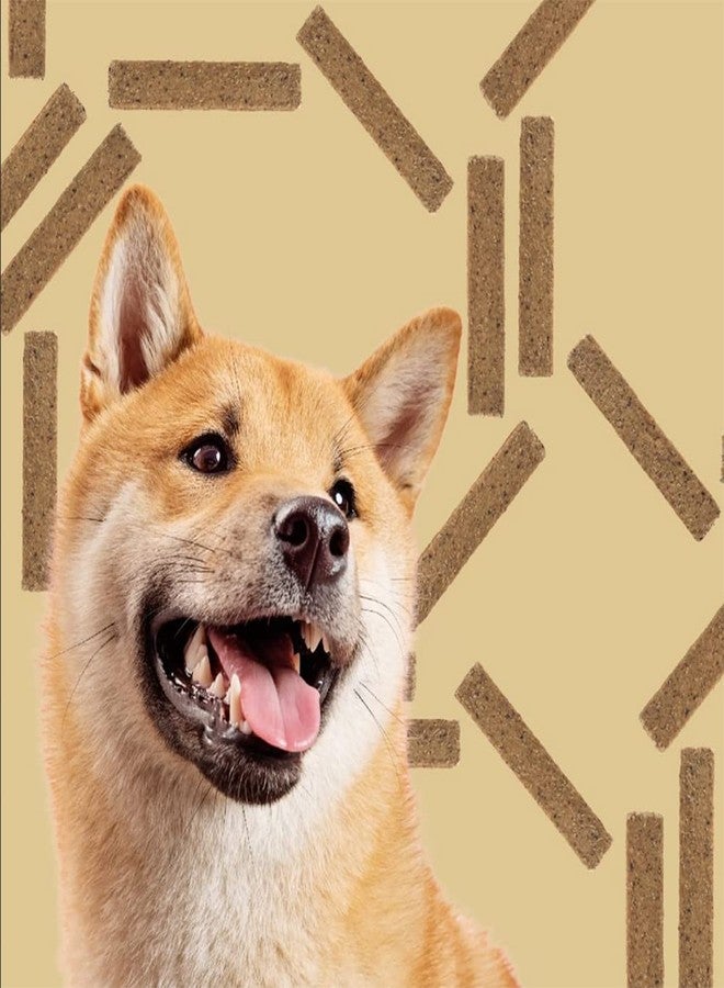 ROAM Pets Jerky for Dogs - Dog Jerky Treats with Limited Ingredients, Healthy Dog Treats, Protein Treats for Dogs with Novel Proteins (Croc Jerky) - Image 4